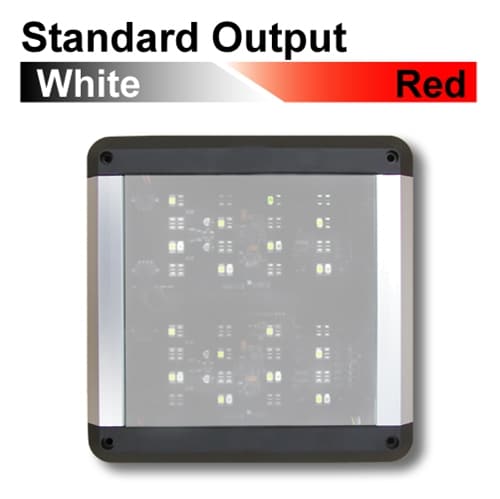 Standard LED Surface Mount Interior Lights